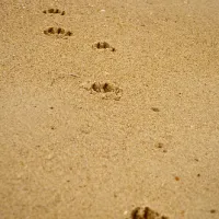 golden-beach-campground-golden-beach-u87w8