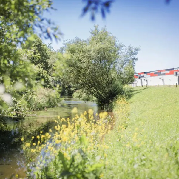 camping-an-der-ablach-messkirch-messkirch-9zwgs