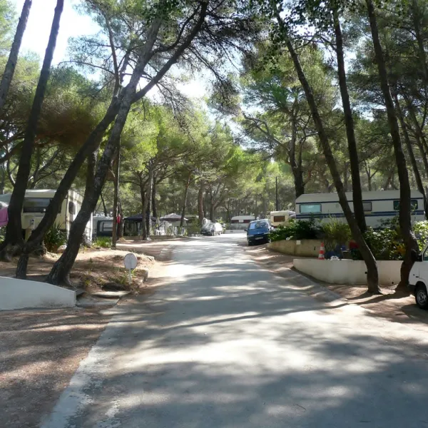 les-baumelles-st-cyr-sur-mer-r9kwq
