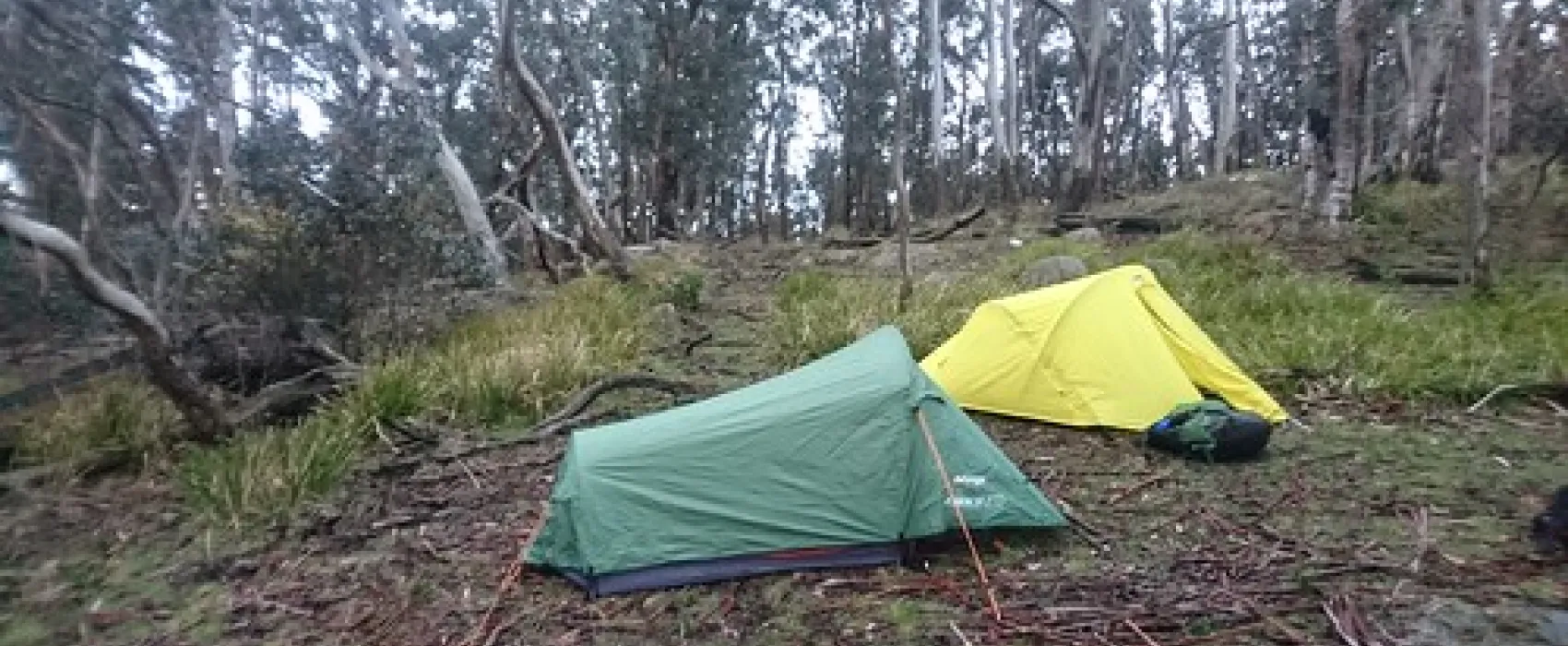 Ferntree Campground