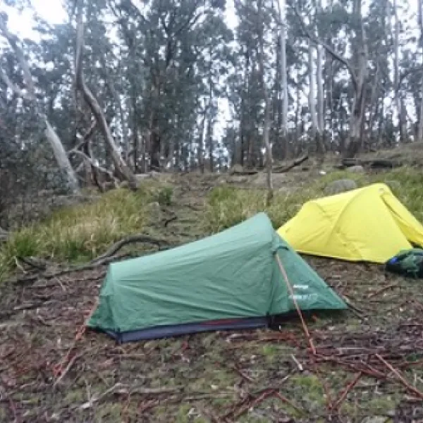 ferntree-campground-ferntree-gully-dd3sf