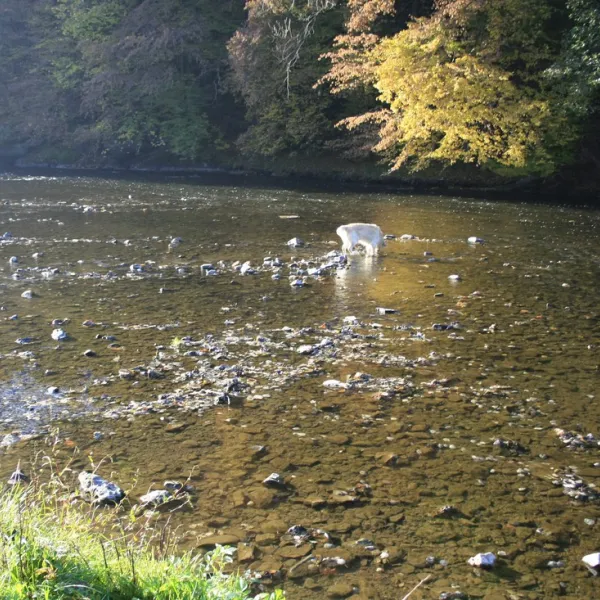 lourthe-la-roche-la-roche-en-ardenne-2e4r8