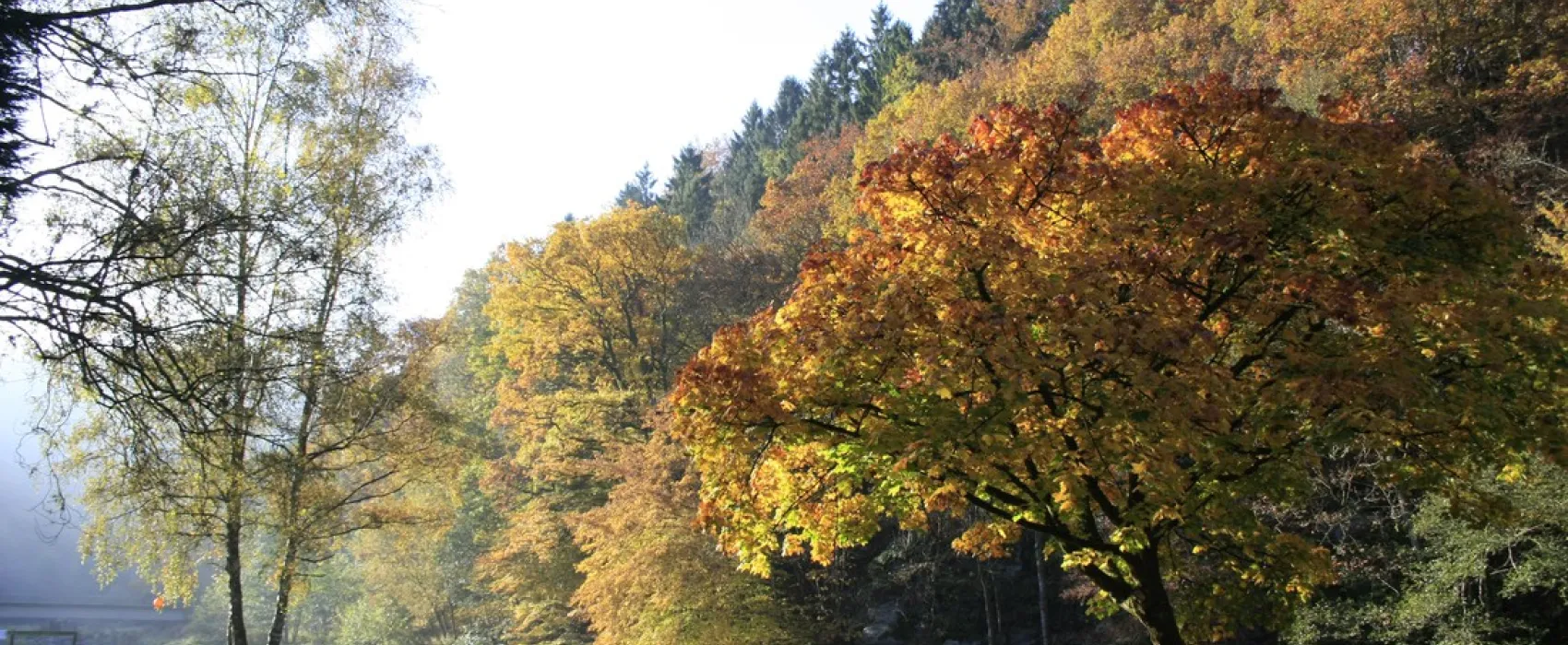 L'Ourthe