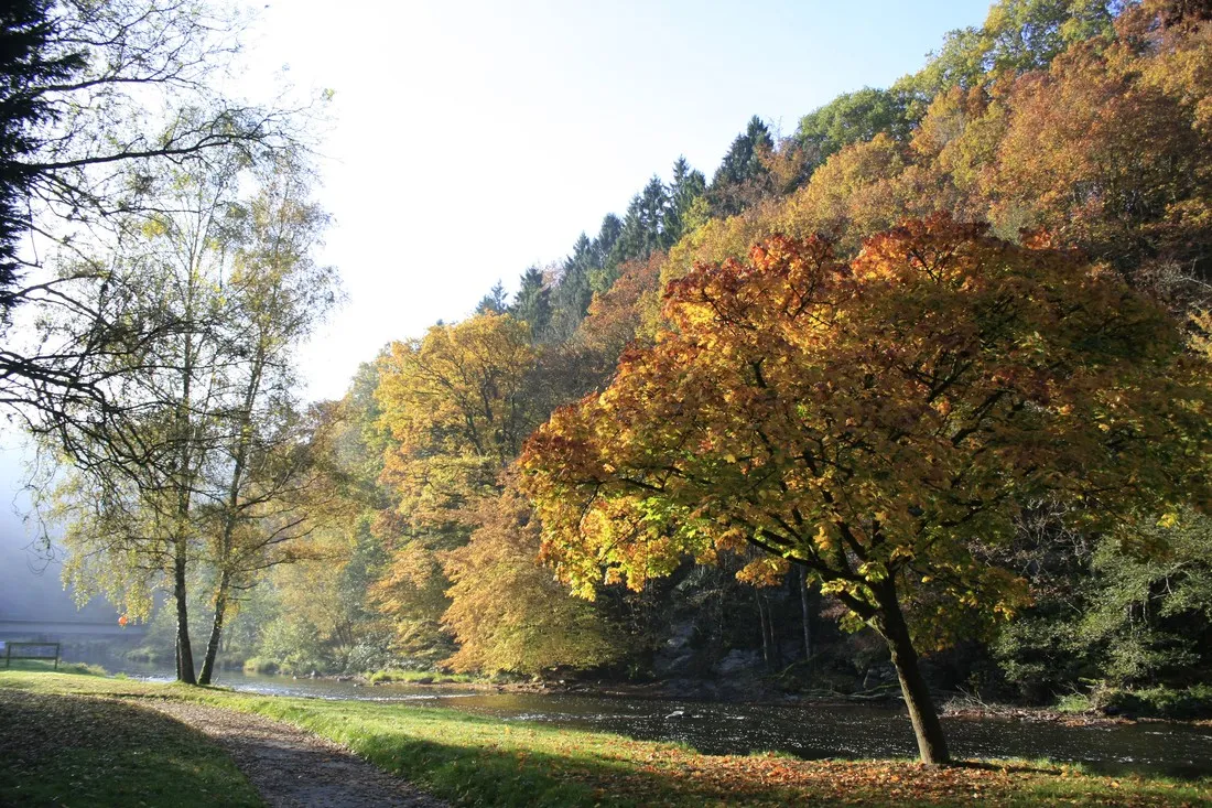 lourthe-la-roche-la-roche-en-ardenne-ztzpv