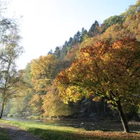 lourthe-la-roche-la-roche-en-ardenne-ztzpv