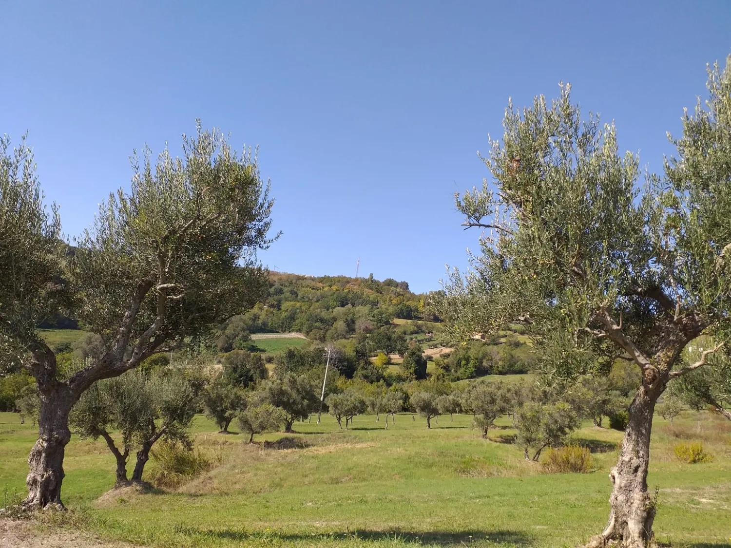 camping44-loro-piceno-0rlzb