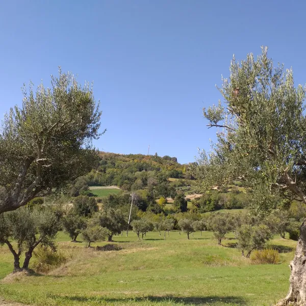 camping44-loro-piceno-0rlzb
