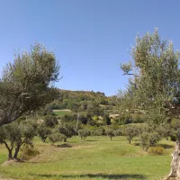 camping44-loro-piceno-0rlzb