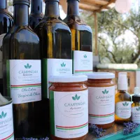 camping44-loro-piceno-mk2ae