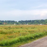 Middelpolle