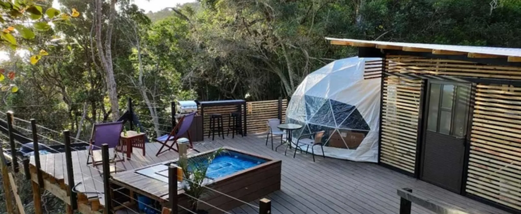 The Forest Dome