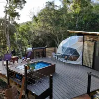 The Forest Dome