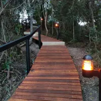 the-forest-dome-bluelillies-bush-storms-river-h6ur4