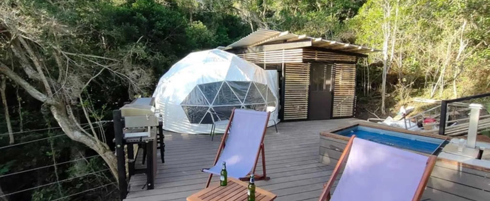 The Forest Dome
