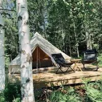 hastnas-logi-bjuraker-vxfdo
