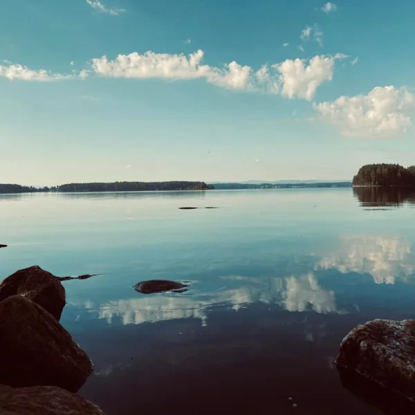 Hästnäs logi