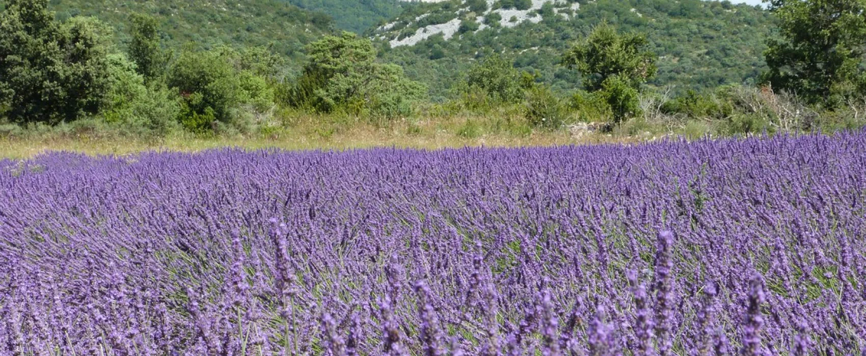 Domaine de Briange