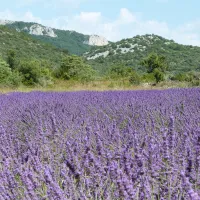 domaine-de-briange-st-remeze-ardeche-jmzvn