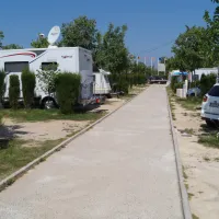 Los Pinos