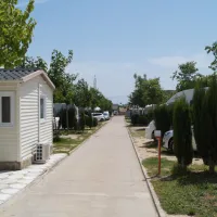 los-pinos-peniscola-gxxlo