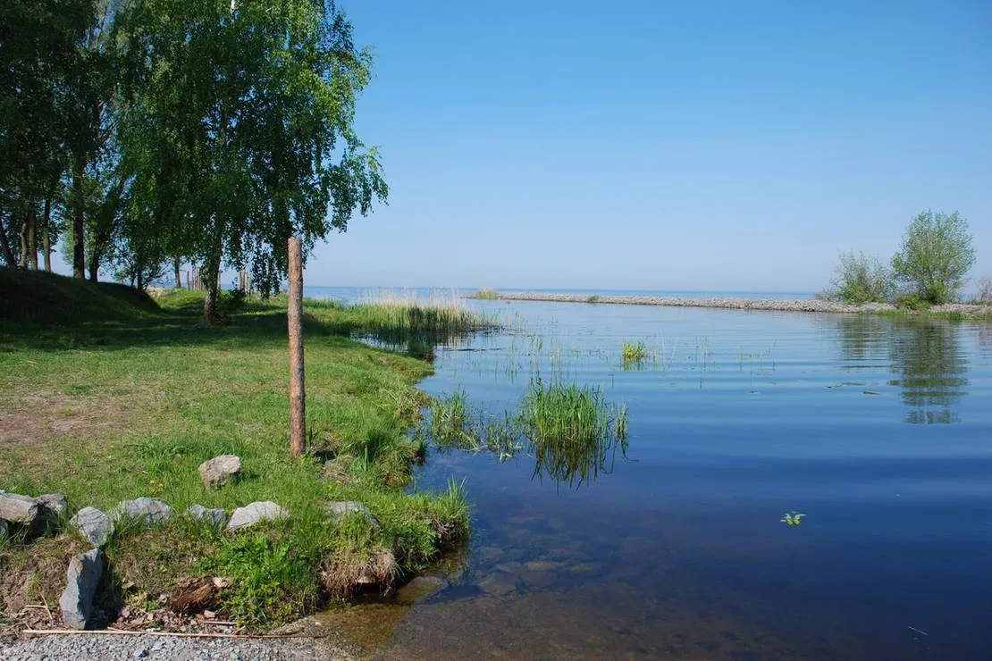 camping-park-ukraine-kiev-vishgorod-livih