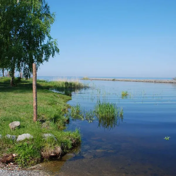 camping-park-ukraine-kiev-vishgorod-livih