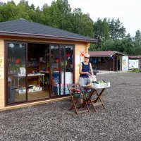 solar-caravan-park-parnu-linn-4g9me
