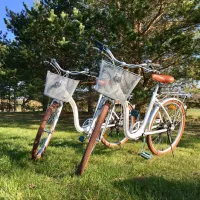 solar-caravan-park-parnu-linn-jq8ge