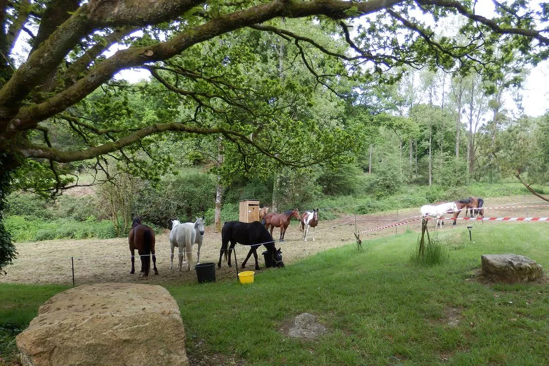 vallon-de-kerlenn-camping-nature-guern-5kgdd