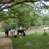 vallon-de-kerlenn-camping-nature-guern-5kgdd