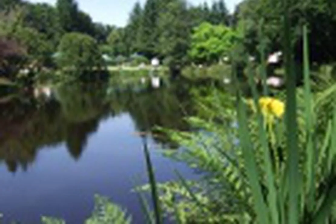 vallon-de-kerlenn-camping-nature-guern-9wola