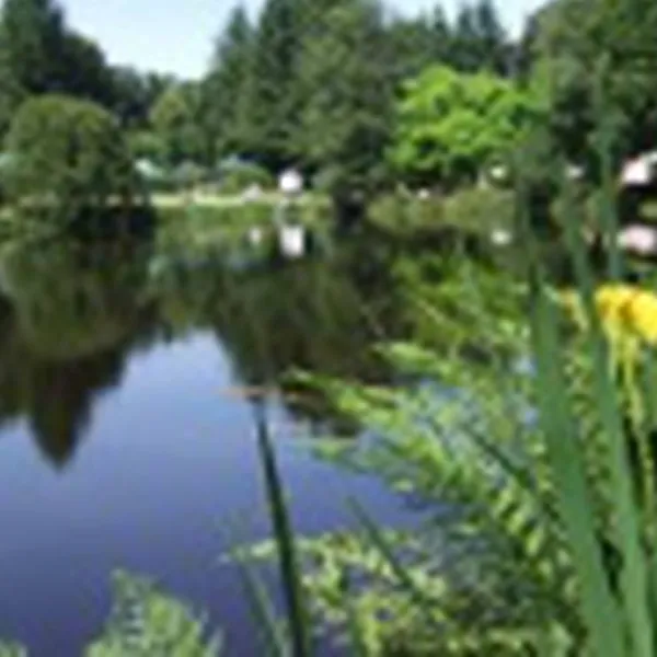 vallon-de-kerlenn-camping-nature-guern-9wola
