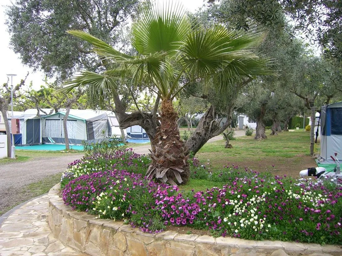 oasis-mar-mont-roig-del-camp-c6op1