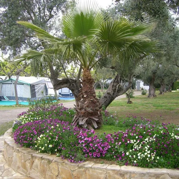 oasis-mar-mont-roig-del-camp-c6op1