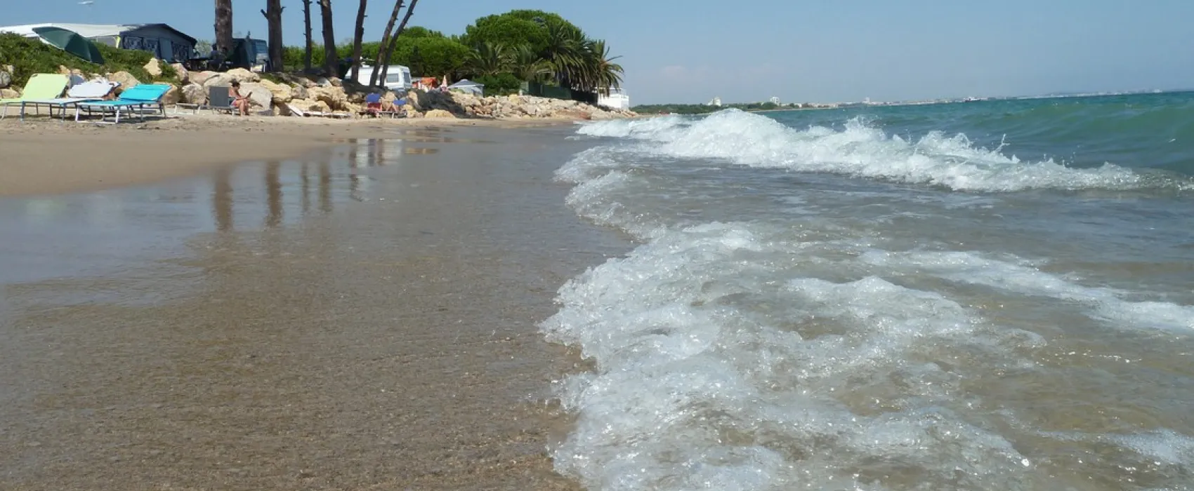 Oasis Mar