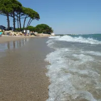 Oasis Mar