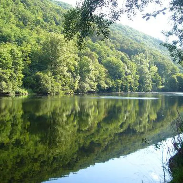 le-vieux-port-monceaux-sur-dordogne-correze-0h6gt