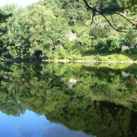 Le Vieux Port