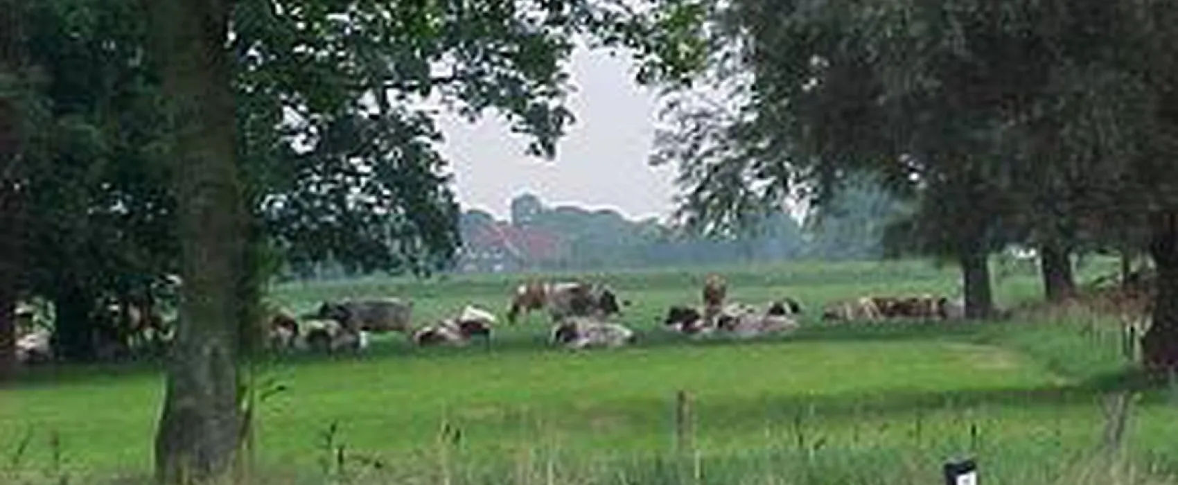 't Rouweelse Veld