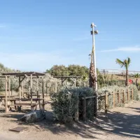 domaine-de-beausejour-serignan-plage-5bnfl