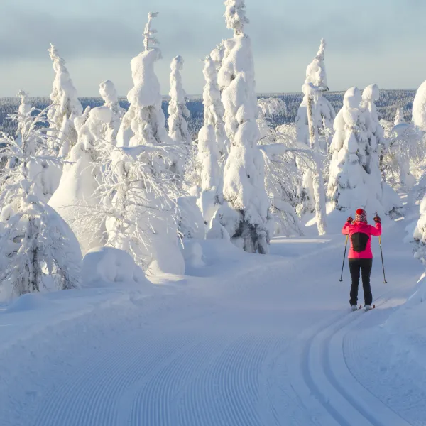 Vinterdröm - Stuga i fjällen
