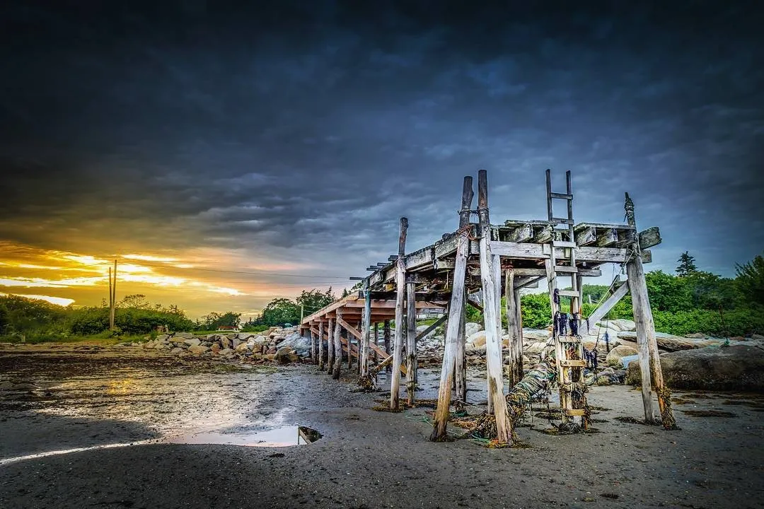 lobster-buoy-campsites-south-thomaston-dog66