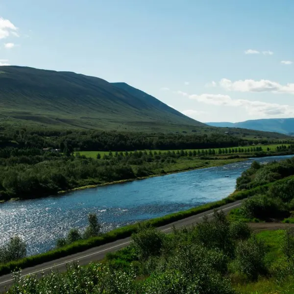 tjaldsvaedid-systragil-akureyri-bjxkw