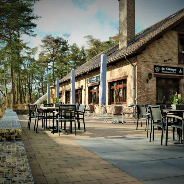 glampingresort-hoge-kempen-zutendaal-8fx1a