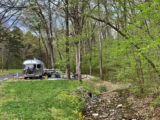 stephens-park-campground-mountain-pine-iynm6
