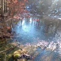 treasure-lake-resort-branson-wuuk8