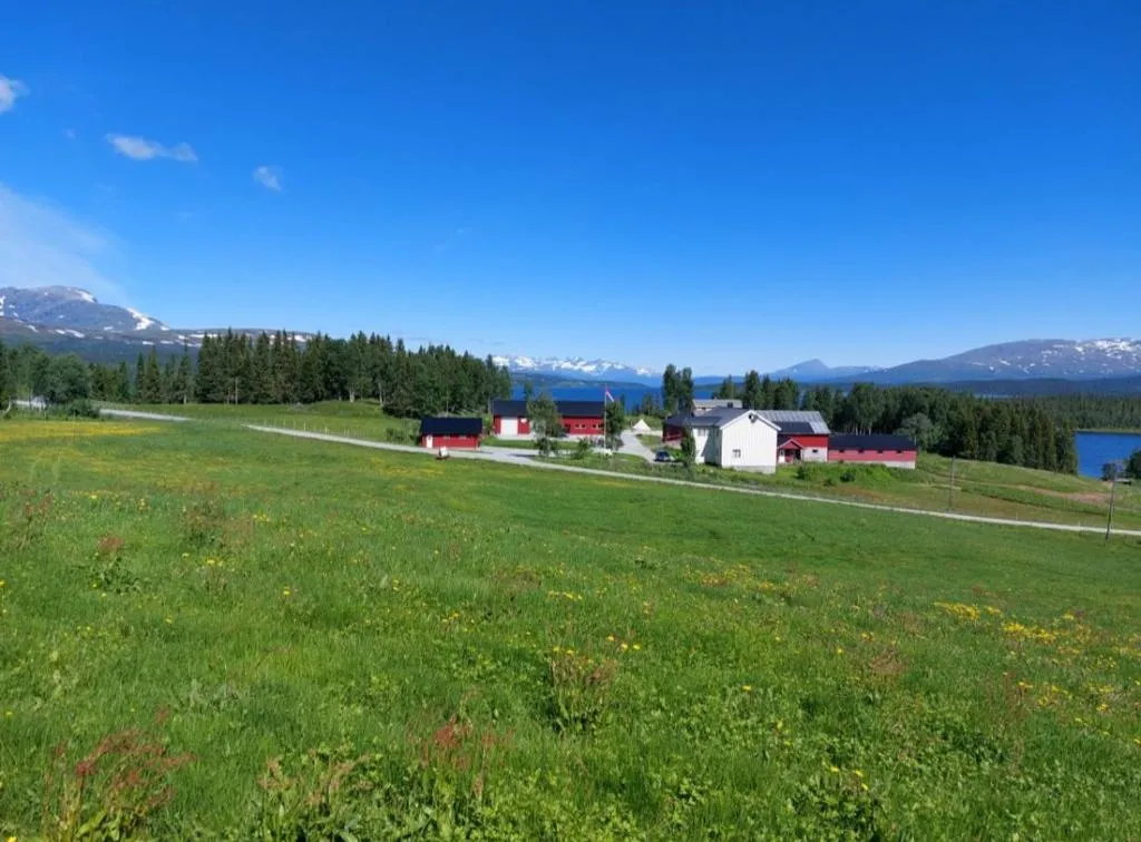 villmarksgard-camping-hattfjelldal-7sjux