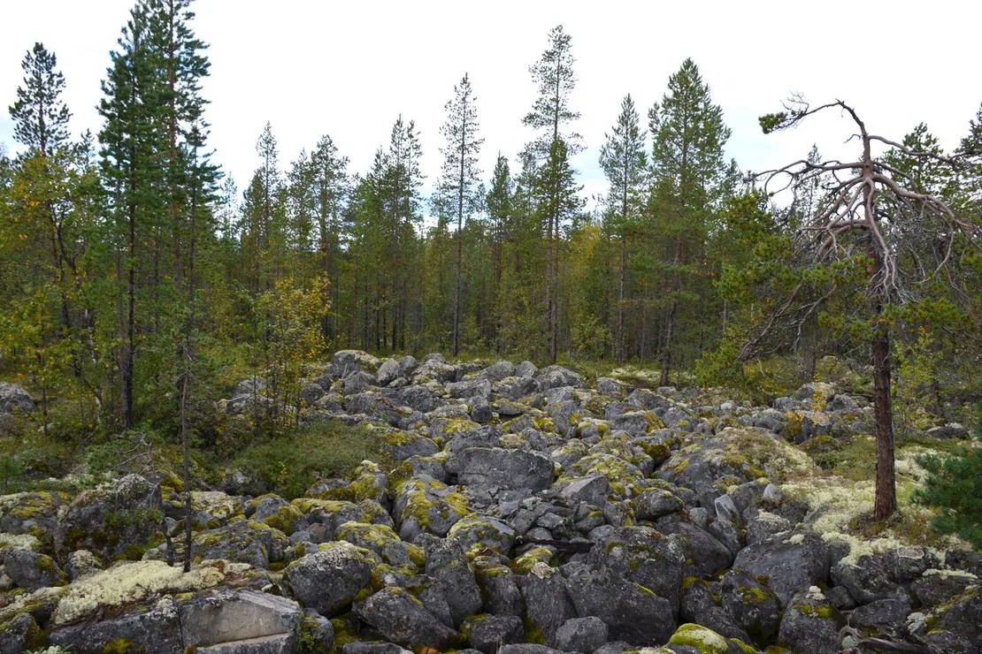 camping-ristikent-murmansk-region-zinl1