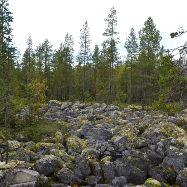 camping-ristikent-murmansk-region-zinl1