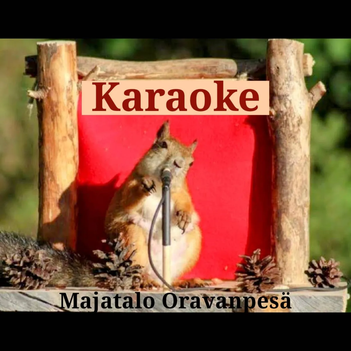 majatalo-oravanpesa-lampsijarvi-tzaue